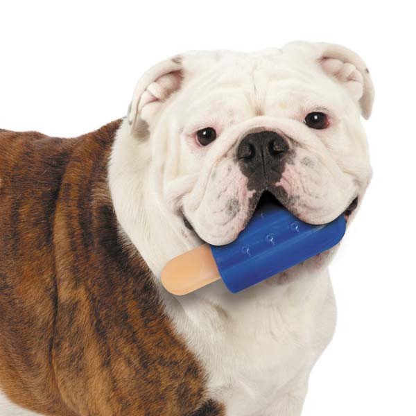 1__97430 COOLING ICE CREAM BLUE DOG TOYS