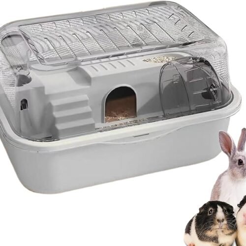 61pOunz4OtL._AC_UF1000,1000_QL80_ Hamster Cage Double clear pet cage panoramic view cage Hamsters Cage with Running Wheel Water
