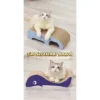 be7a616eea0fcccf5ab9436ceb0846f8.webp Cat Scratcher Board Cat Toy Scratching Elephant Whale