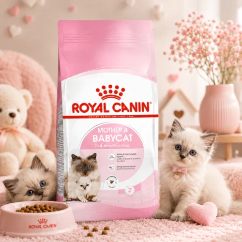 ROYAL CANIN Mother   Babycat  Dry Cat Food 400g   Easy Weaning   Immunity   100  Original