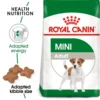 my-11134207-820l6-mp372hj4rqq4e9.webp ROYAL CANIN Mini Adult Dry Dog Food 2kg Small Breed Weight Coat Health 100 Original