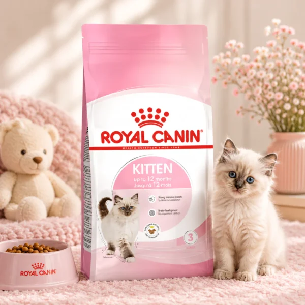 ROYAL CANIN Kitten Dry Cat Food 400g   Healthy Growth   Immunity   100  Original