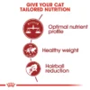 my-11134207-820l8-mp2d110pi7ls12.webp ROYAL CANIN Fit 32 Adult Dry Cat Food 2KG Balanced Nutrition Ideal Weight 100 Original Fast Delivery