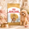 my-11134207-820l9-mp37tg0ep7gu74.webp ROYAL CANIN Poodle Adult Dry Dog Food 1 5kg Beautiful Coat Health 100 Original