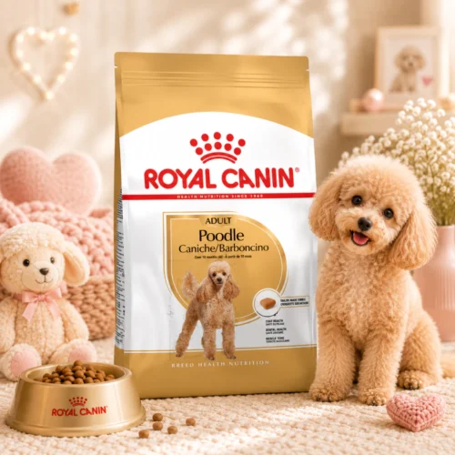 my-11134207-820l9-mp37tg0ep7gu74.webp ROYAL CANIN Poodle Adult Dry Dog Food 1 5kg Beautiful Coat Health 100 Original