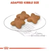 my-11134207-820lb-mp3as0u7ekund7.webp ROYAL CANIN Mini Adult Dry Dog Food 1kg Repack Small Breed Health 100 Original