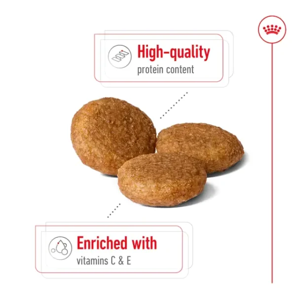 my-11134207-820lb-mp3cvd1jdtzh75.webp ROYAL CANIN Medium Adult Dry Dog Food 1kg Repack Healthy Digestion Coat 100 Original