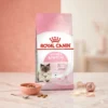 my-11134207-820lc-mp2e8evagv7zaf.webp ROYAL CANIN Mother Babycat Dry Cat Food 2kg Kitten Queen Immune Support 100 Original Fast Delivery