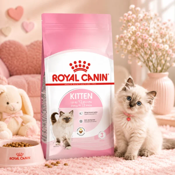 ROYAL CANIN Kitten Dry Cat Food 400g   Healthy Growth   Immunity   100  Original