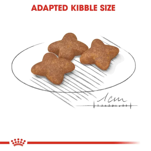 my-11134207-820lc-mp372hj25mobc6.webp ROYAL CANIN Mini Adult Dry Dog Food 2kg Small Breed Weight Coat Health 100 Original