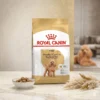 my-11134207-820lc-mp37l4lajdajc5.webp ROYAL CANIN Poodle Adult Dry Dog Food 1 5kg Beautiful Coat Health 100 Original