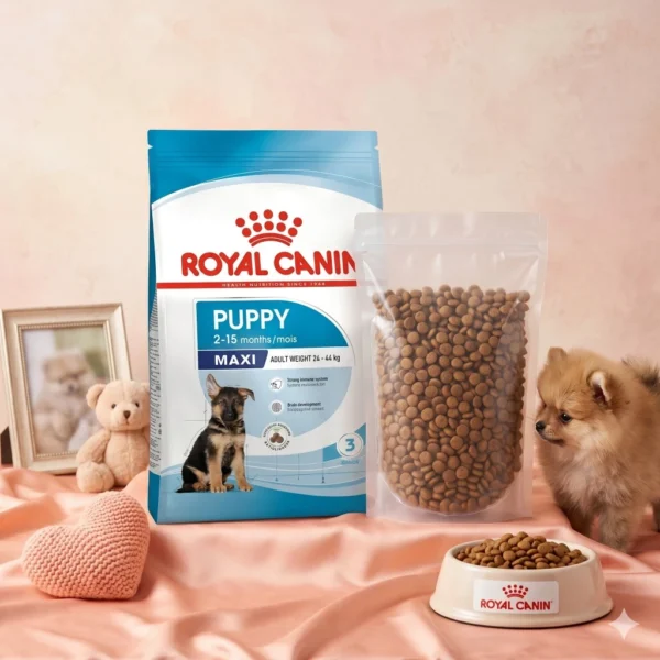 ROYAL CANIN Maxi Puppy Dry Dog Food 1kg Repack   Large Breed Growth   100  Original