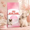 my-11134207-820ld-mp2edisp1edr21.webp ROYAL CANIN Mother Babycat Dry Cat Food 400g Easy Weaning Immunity 100 Original
