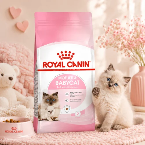 my-11134207-820ld-mp2edisp1edr21.webp ROYAL CANIN Mother Babycat Dry Cat Food 4kg Easy Weaning Immune Support 100 Original Fast Ship