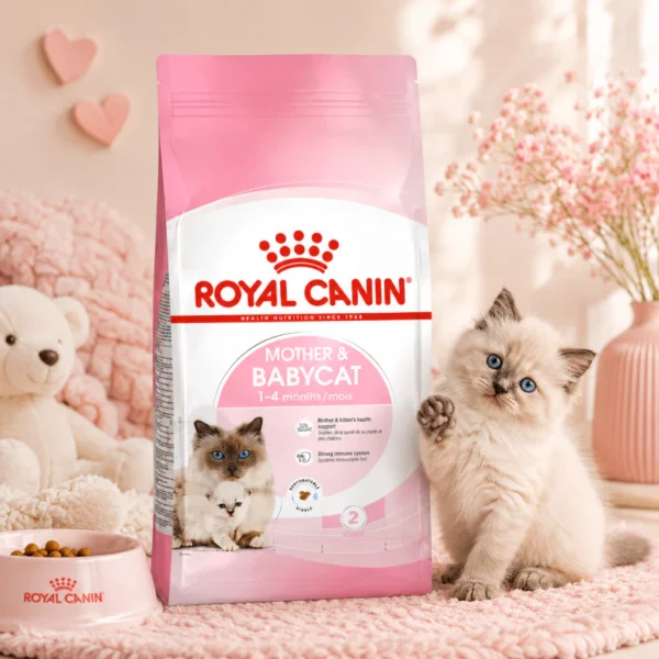 my-11134207-820ld-mp2edisp1edr21.webp ROYAL CANIN Mother Babycat Dry Cat Food 400g Easy Weaning Immunity 100 Original