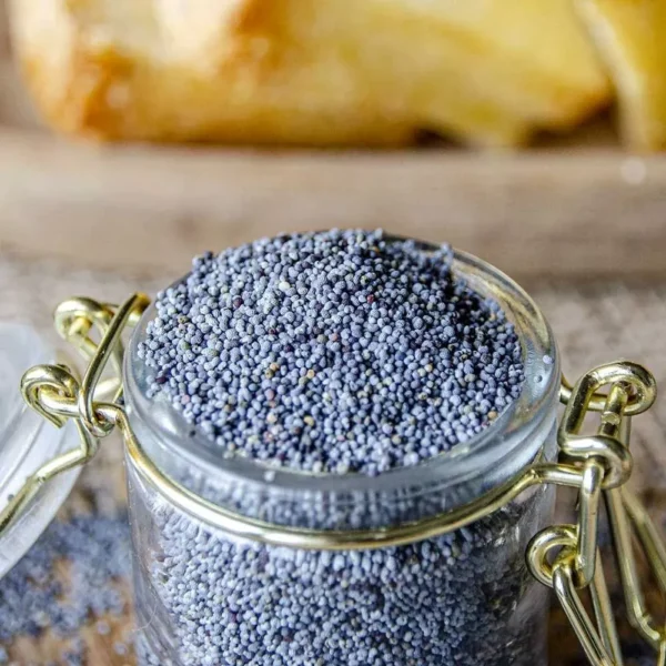 Premium Blue Poppy Seed 500g   Maw Seed for Bird Feather Health   100  Natural