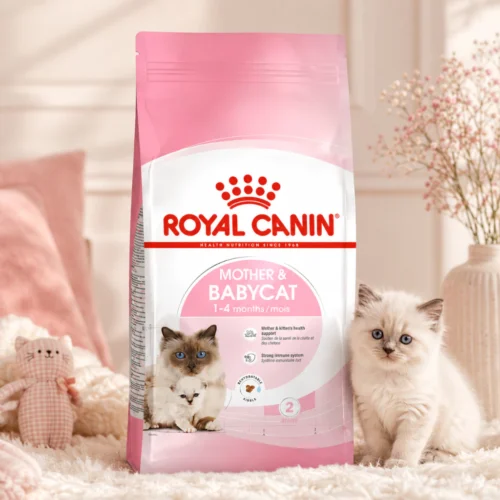 ROYAL CANIN Mother   Babycat Dry Cat Food 2kg   Kitten   Queen Immune Support   100  Original  Fast Delivery