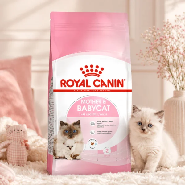 my-11134207-820le-mp2e854l2qktdf.webp ROYAL CANIN Mother Babycat Dry Cat Food 400g Easy Weaning Immunity 100 Original