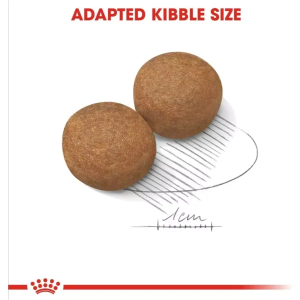 my-11134207-820le-mp3bs4bl23nkf6.webp ROYAL CANIN Maxi Adult Dry Dog Food 1kg Repack Large Breed Joint Health 100 Original Fast Ship