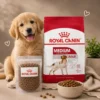 my-11134207-820lf-mp3cvdghdc7ib2.webp ROYAL CANIN Medium Adult Dry Dog Food 1kg Repack Healthy Digestion Coat 100 Original