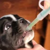 70b46e2c1199953bee78dc3a812a19a0 Dog Cat Tablet Pill Piller Push Dispenser Medicine Water Syringe Feed